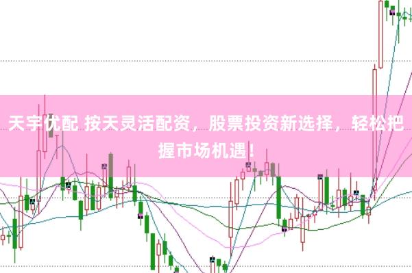 天宇优配 按天灵活配资，股票投资新选择，轻松把握市场机遇！