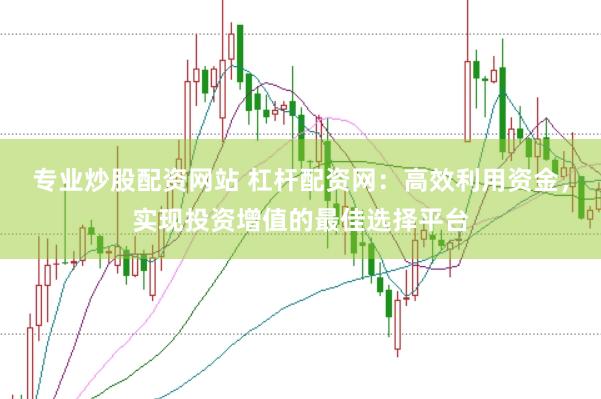 专业炒股配资网站 杠杆配资网：高效利用资金，实现投资增值的最佳选择平台