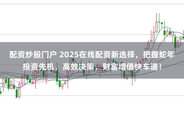 配资炒股门户 2025在线配资新选择，把握蛇年投资先机，高效决策，财富增值快车道！