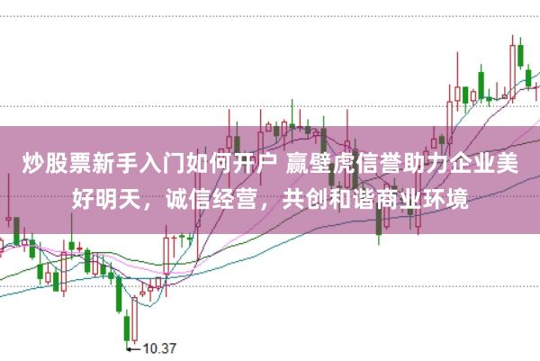炒股票新手入门如何开户 赢壁虎信誉助力企业美好明天，诚信经营，共创和谐商业环境