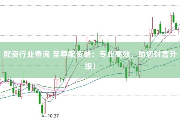 配资行业查询 至尊配资端：专业高效，助您财富升级！