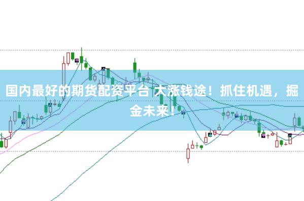 国内最好的期货配资平台 大涨钱途！抓住机遇，掘金未来！