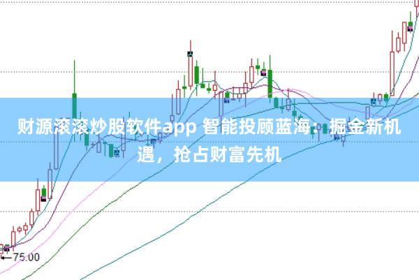 财源滚滚炒股软件app 智能投顾蓝海：掘金新机遇，抢占财富先机