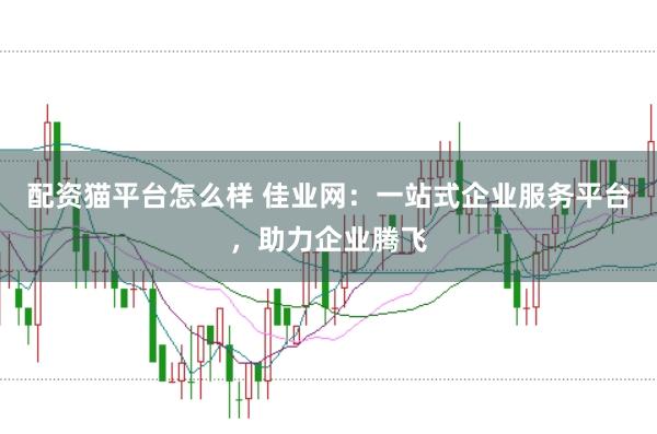 配资猫平台怎么样 佳业网：一站式企业服务平台，助力企业腾飞