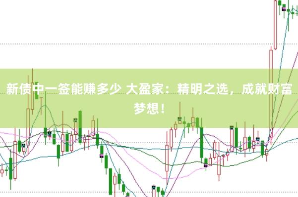 新债中一签能赚多少 大盈家：精明之选，成就财富梦想！
