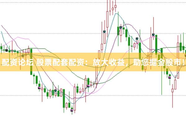 配资论坛 股票配套配资：放大收益，助您掘金股市！