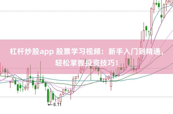 杠杆炒股app 股票学习视频：新手入门到精通，轻松掌握投资技巧！