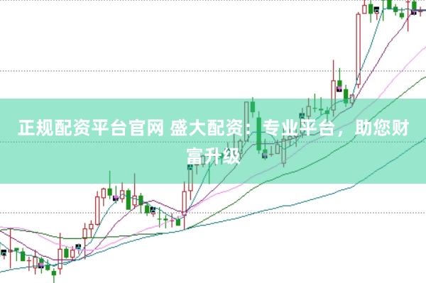正规配资平台官网 盛大配资：专业平台，助您财富升级