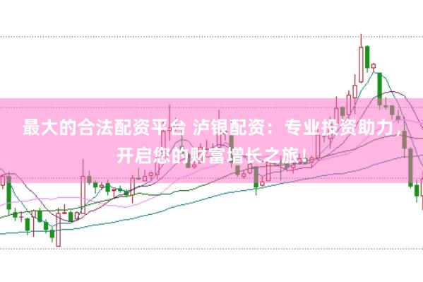 最大的合法配资平台 泸银配资：专业投资助力，开启您的财富增长之旅！