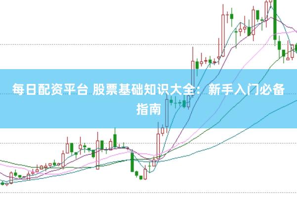 每日配资平台 股票基础知识大全：新手入门必备指南