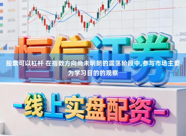 股票可以杠杆 在指数方向尚未明朗的震荡阶段中，参与市场主要为学习目的的观察