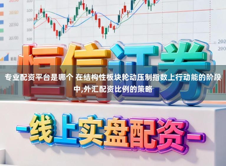 专业配资平台是哪个 在结构性板块轮动压制指数上行动能的阶段中，外汇配资比例的策略