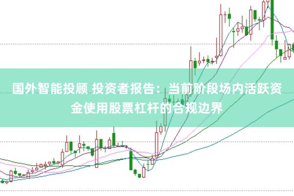 国外智能投顾 投资者报告：当前阶段场内活跃资金使用股票杠杆的合规边界